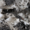 snowbowl_7810