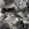 snowbowl_7811