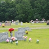 dardanelle_5469