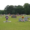 dardanelle_5470