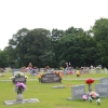 dardanelle_5473