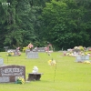 dardanelle_5474