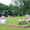 dardanelle_5475