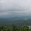 ozarkforest_5530