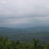 ozarkforest_5531