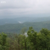 ozarkforest_5532