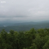 ozarkforest_5537