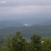 ozarkforest_5539