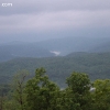 ozarkforest_5540