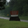 ozarkforest_5543
