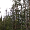 mthwy_4439