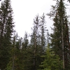 mthwy_4440