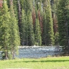 mthwy_4457