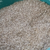 strandbrewing_4136