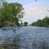 storm_6818
