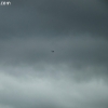 stormsearch_7213