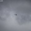stormsearch_7216