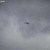 stormsearch_7217