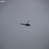 stormsearch_7221