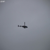 stormsearch_7222