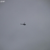 stormsearch_7225
