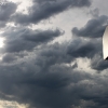 custer_4244