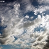 custer_4245