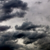 custer_4247