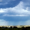 custer_4251