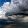 custer_4254
