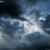 springfield_5877