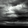 springfield_5886