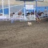 codyrodeo_5065