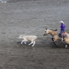 codyrodeo_5075