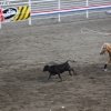 codyrodeo_5086