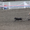 codyrodeo_5091