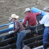 codyrodeo_5126