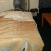 cody_4535