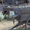 cody_4557
