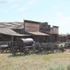 cody_4597