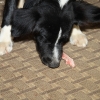 cortez_8145