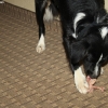 cortez_8147