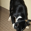 cortez_8148