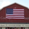countyorchard_0421
