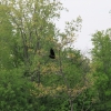 cumberlandloop_6535