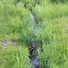 cumberlandloop_6543