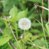 cumberlandloop_6544