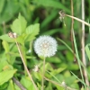 cumberlandloop_6545