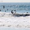 elporto_0354
