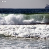 elporto_0372